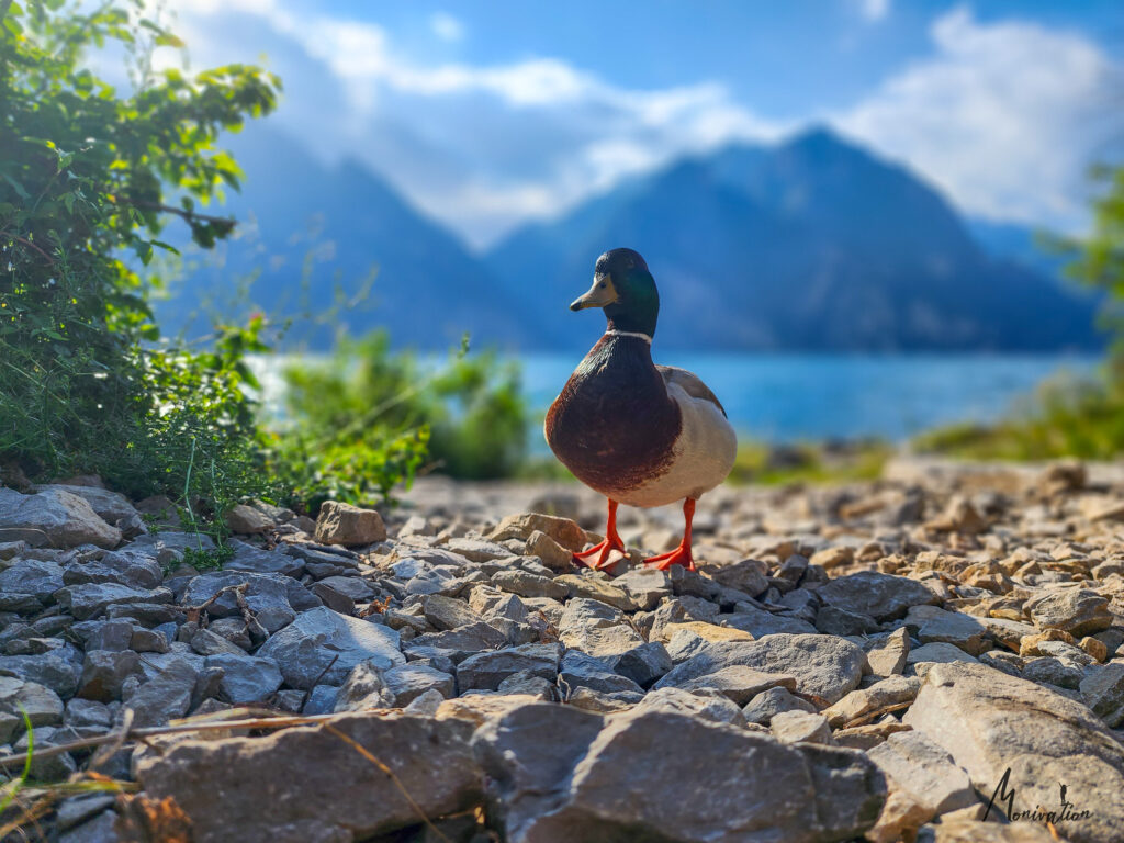 Corno di Bo klettern mit Monivation